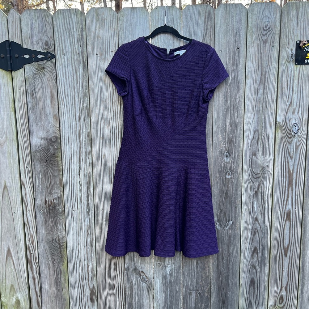 SANDRA DARREN Fit n Flare Purple Dress Women’s 10